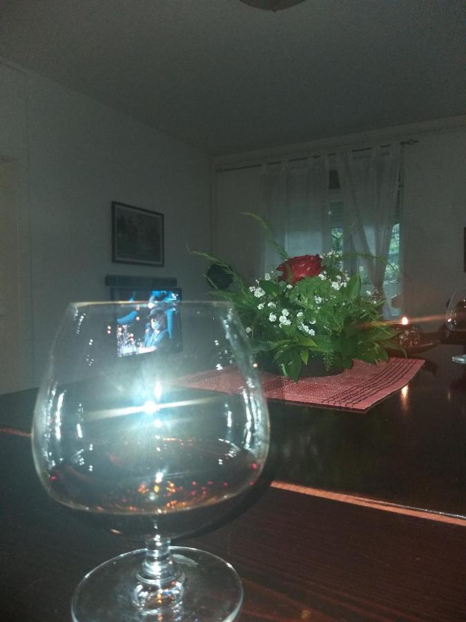 Apartman Nv Apartman Vrnjačka Banja Kültér fotó