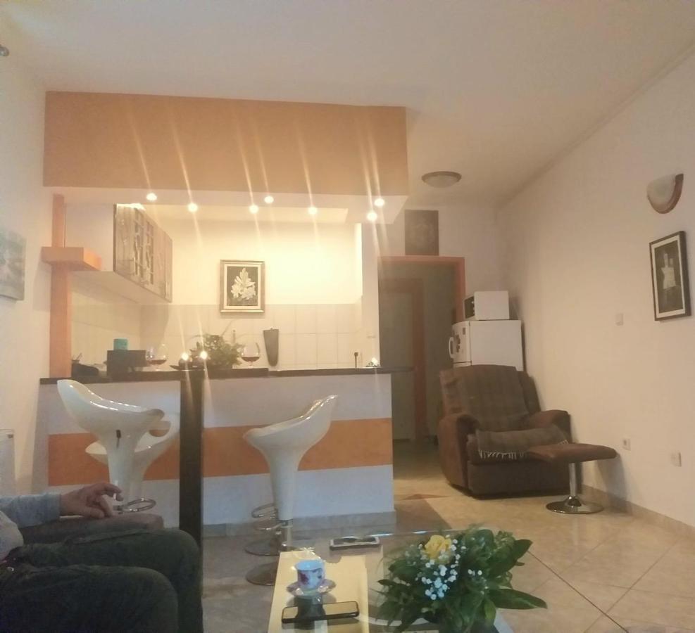 Apartman Nv Apartman Vrnjačka Banja Kültér fotó