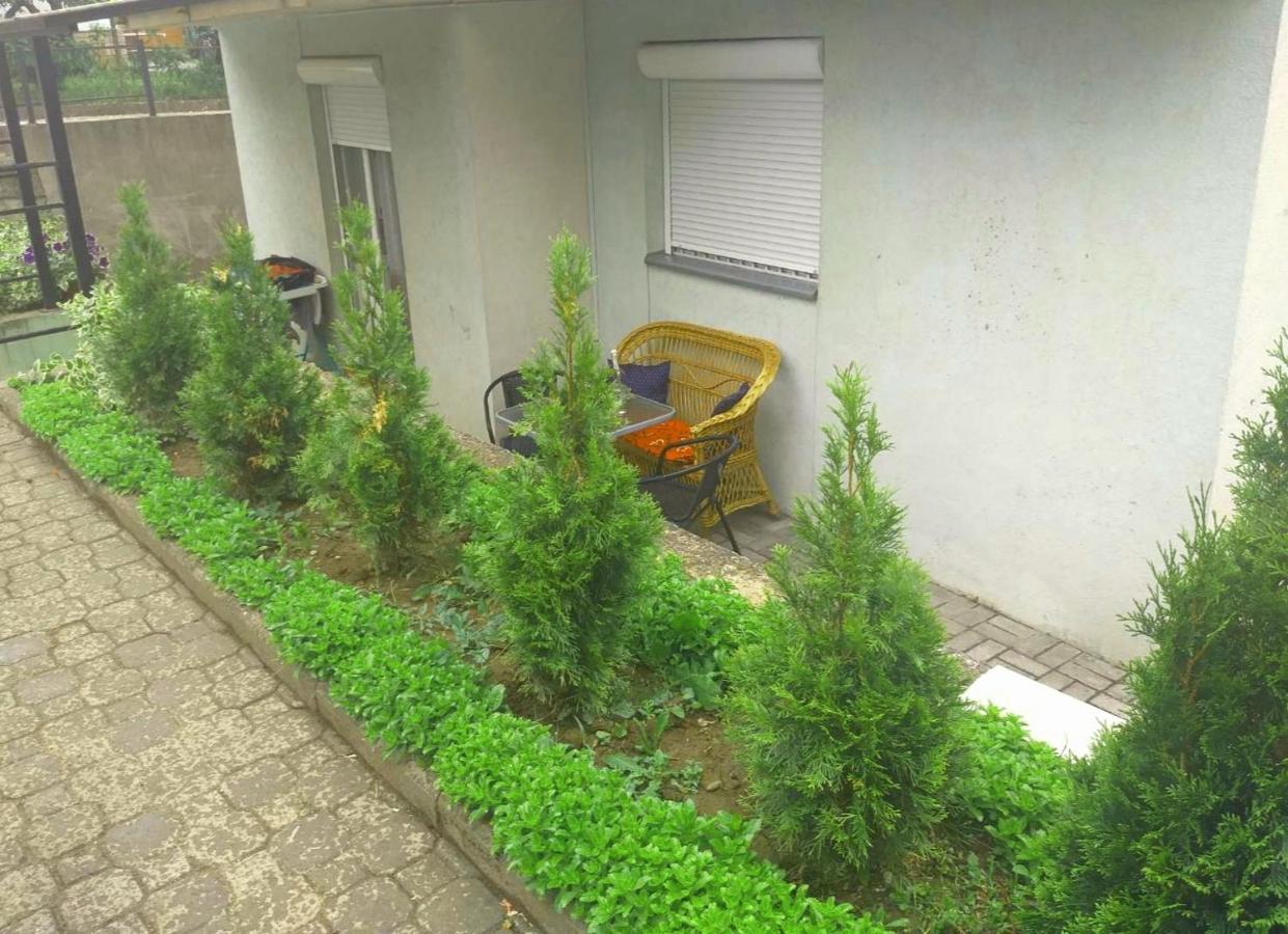 Apartman Nv Apartman Vrnjačka Banja Kültér fotó