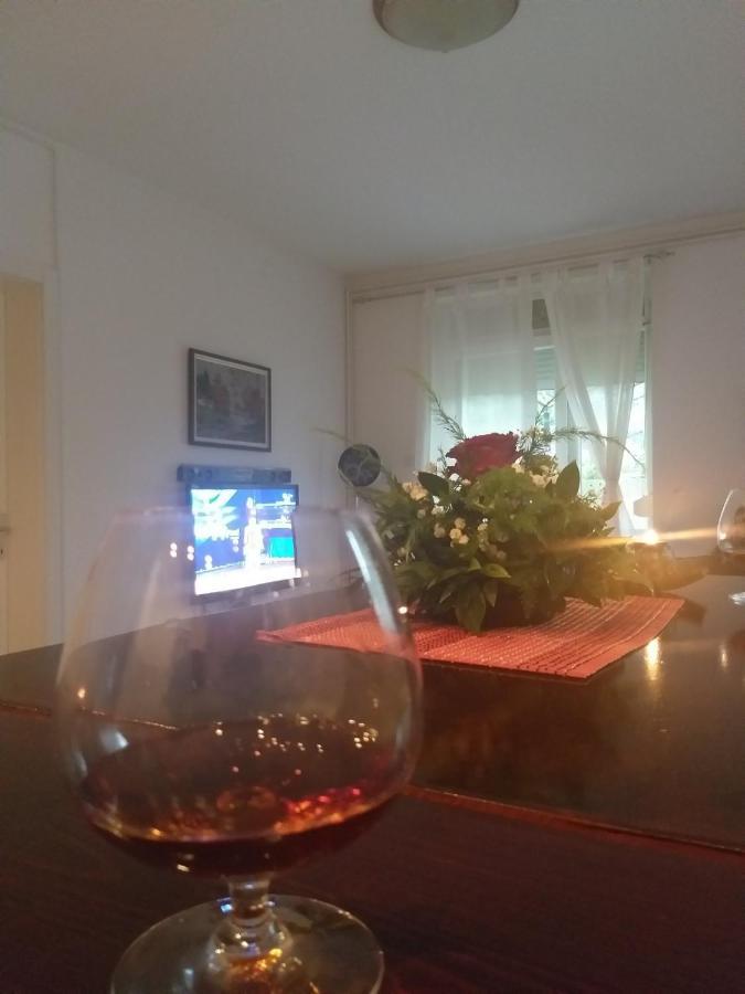Apartman Nv Apartman Vrnjačka Banja Kültér fotó
