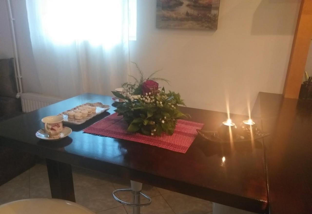 Apartman Nv Apartman Vrnjačka Banja Kültér fotó