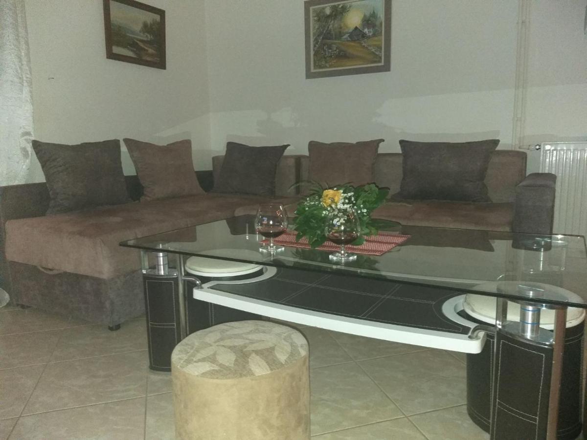 Apartman Nv Apartman Vrnjačka Banja Kültér fotó