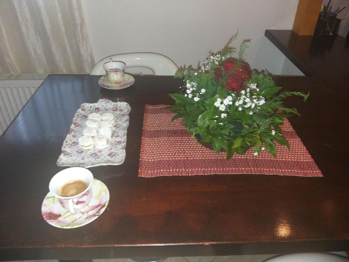 Apartman Nv Apartman Vrnjačka Banja Kültér fotó